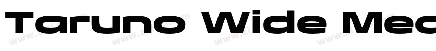 Taruno Wide Med字体转换